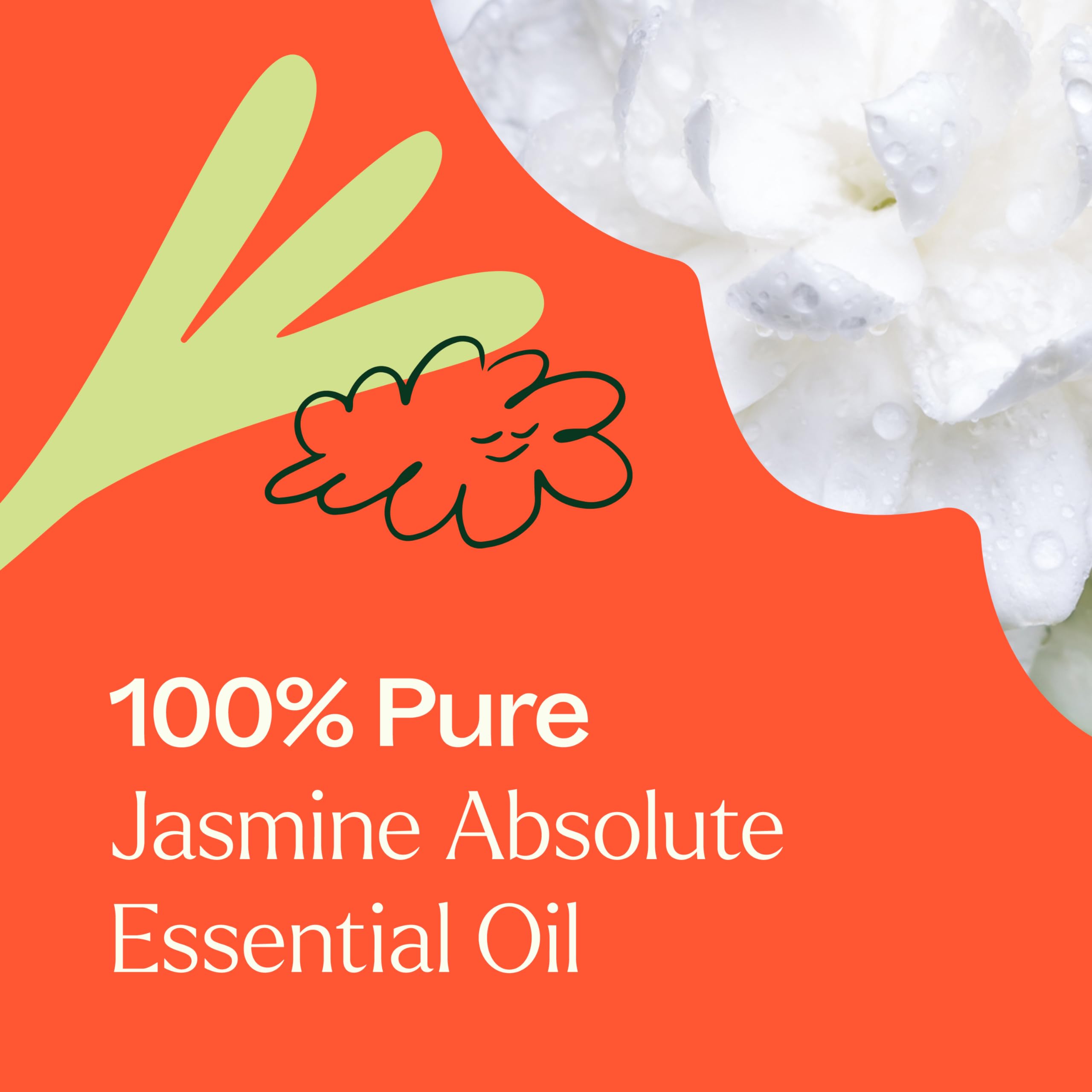 Plant Therapy Jasmine Sambac Absolute origin India hints at premium sourcing.