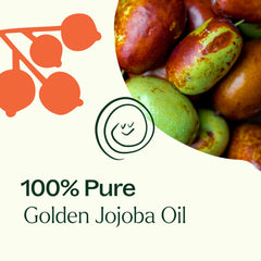 Plant Therapy Jojoba Golden Carrier Oil used in skincare routines