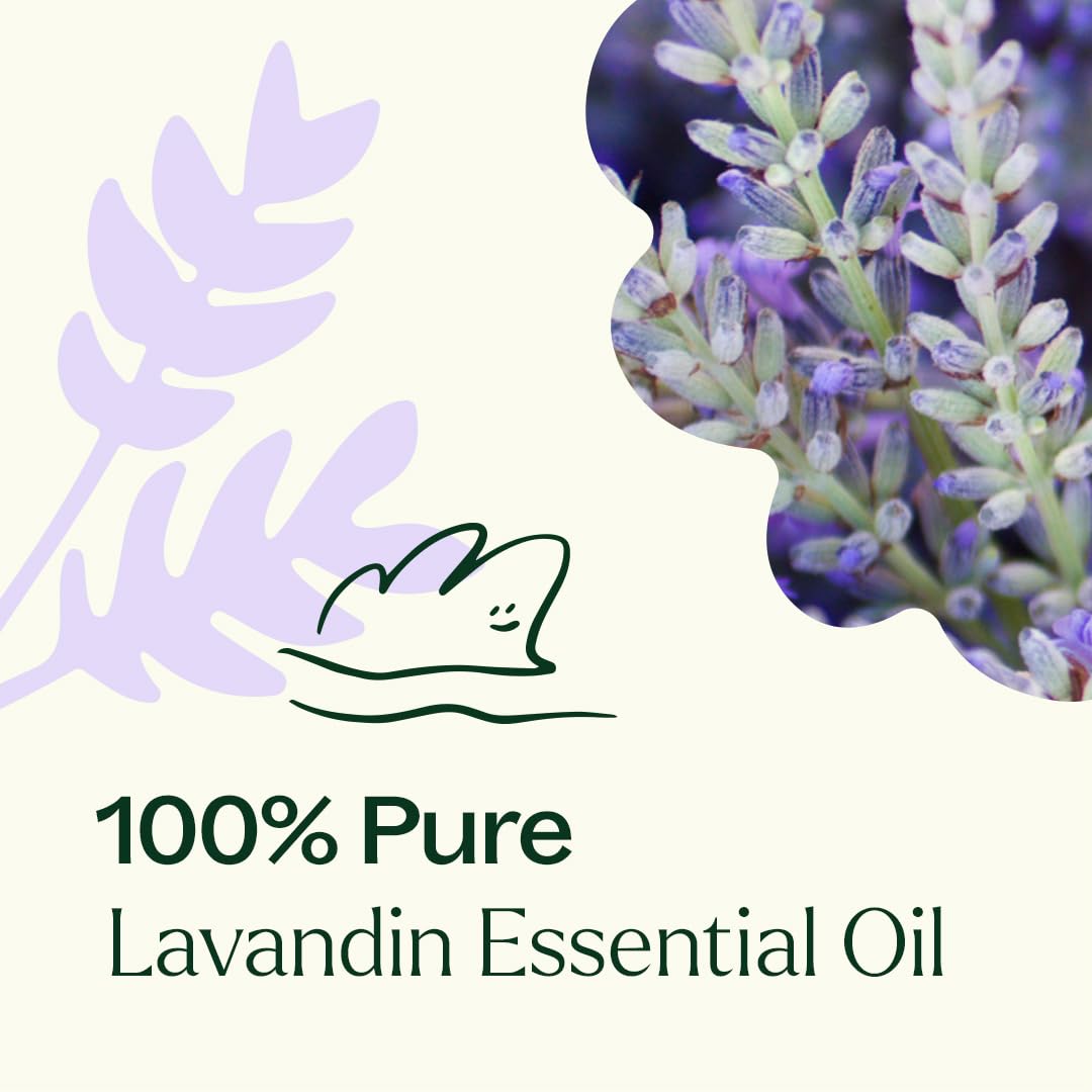 Plant Therapy Lavandin bottle label showing purity and product details