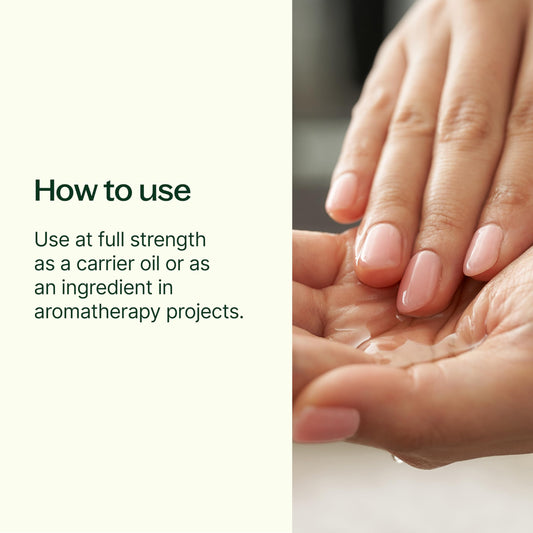 Pouring Plant Therapy Jojoba Oil for DIY blends and skincare routines.