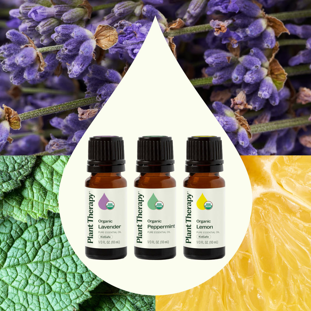 Plant Therapy Peppermint essential oil bottle in 10 ml for refreshing boosts and cleaners.
