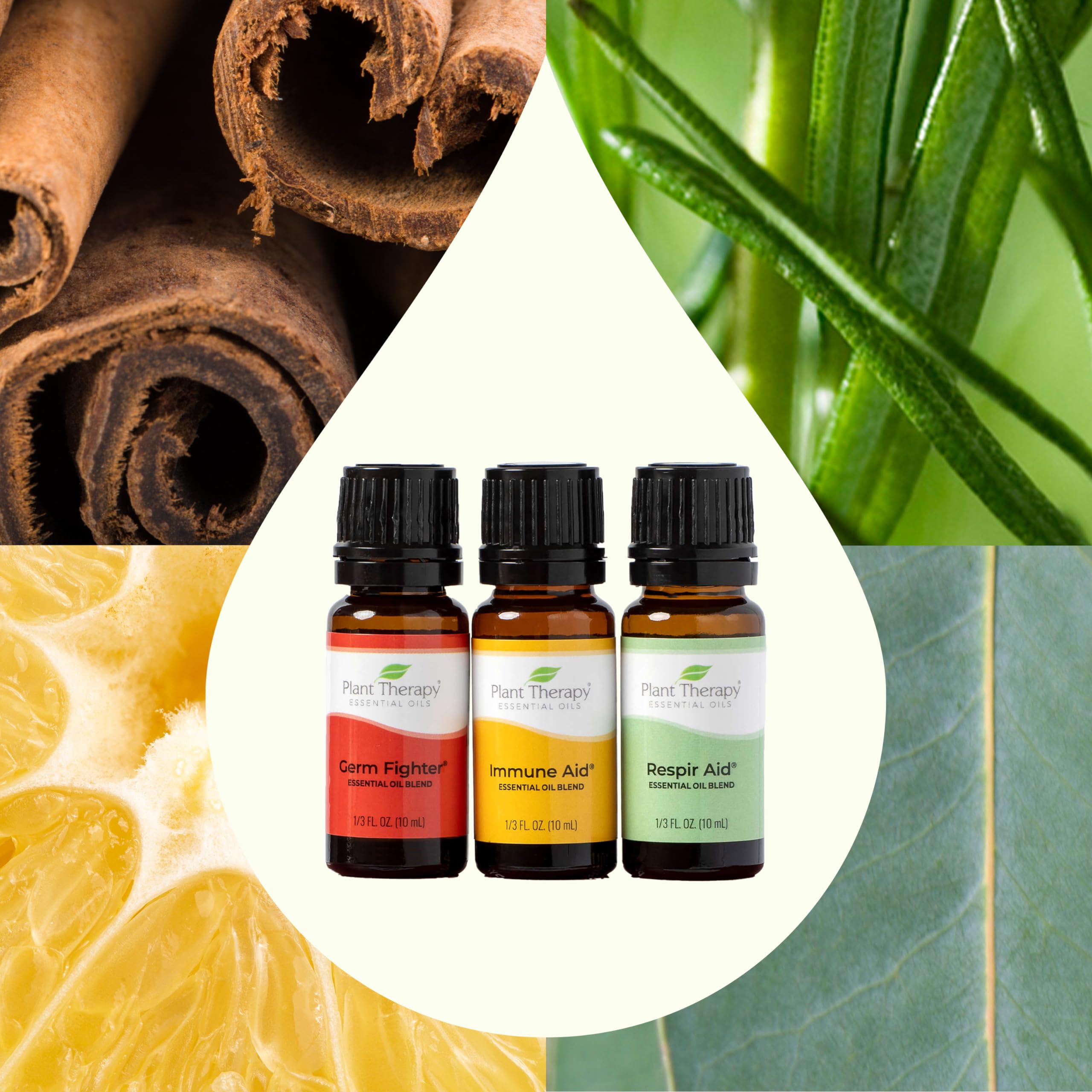 Plant Therapy Respir Aid bottle supports clear breathing when needed.