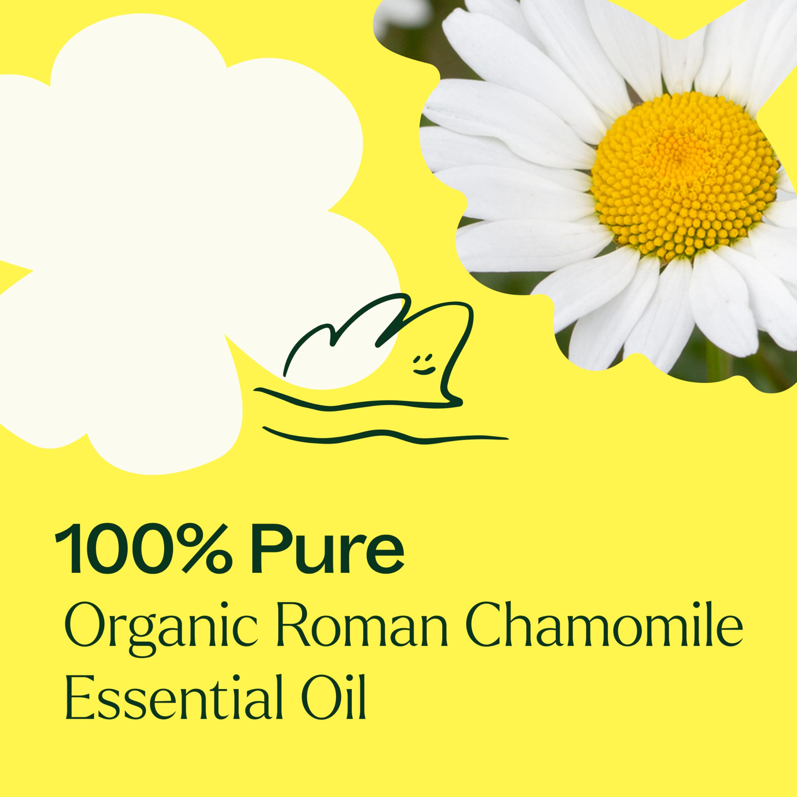 Diffuser scene featuring Plant Therapy Roman Chamomile oil for relaxation.