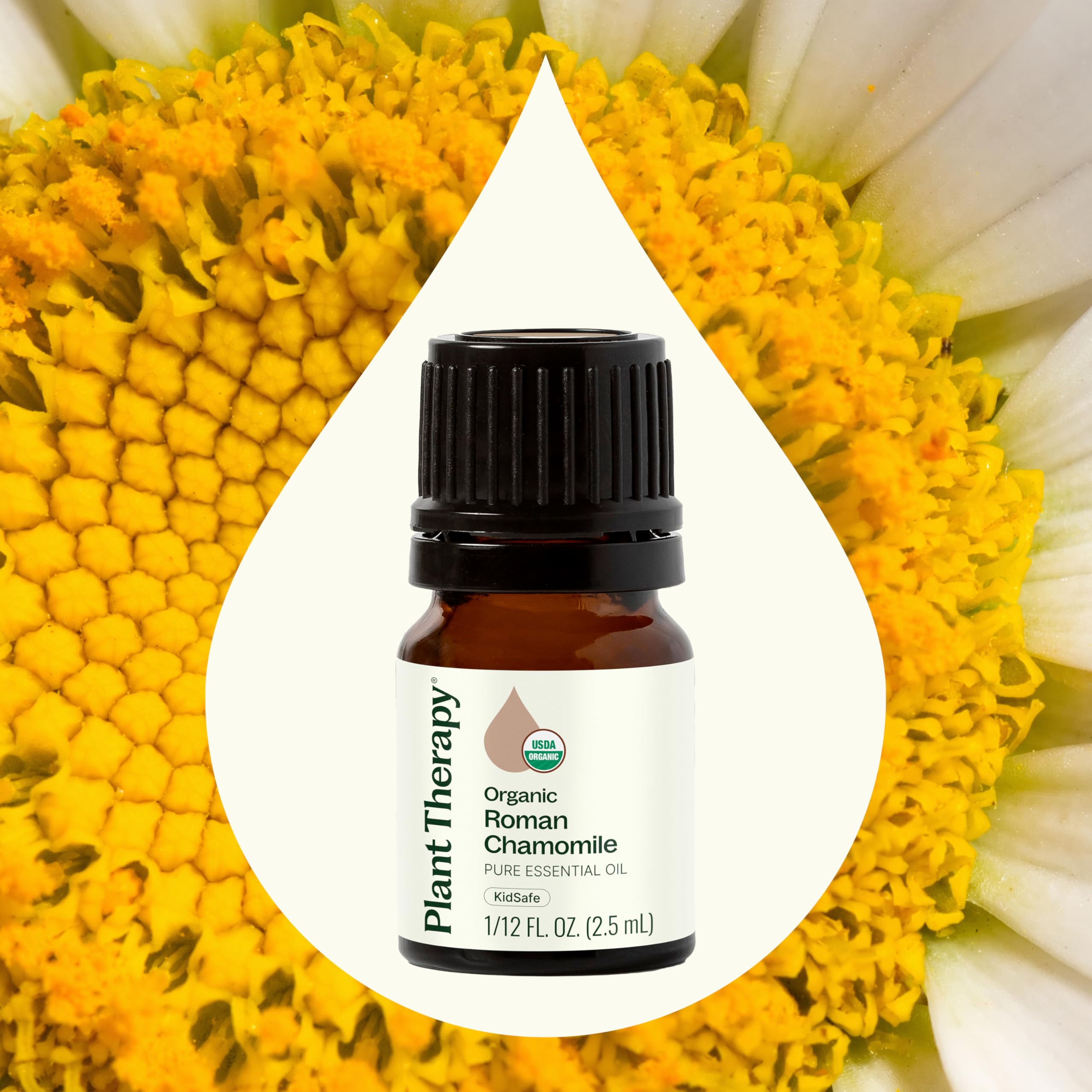 Close-up of Plant Therapy Roman Chamomile oil label on the bottle.