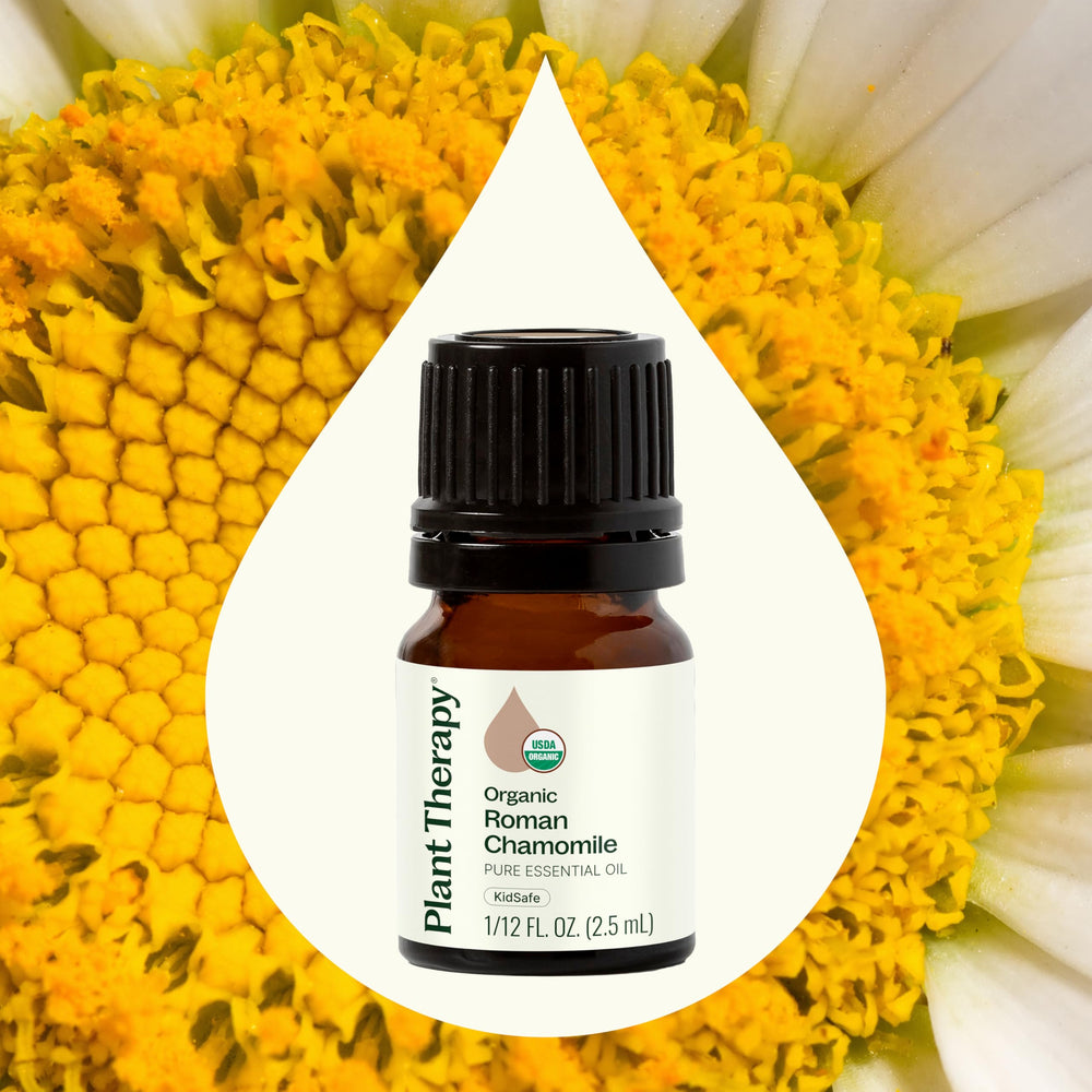 Close-up of Plant Therapy Roman Chamomile oil label on the bottle.