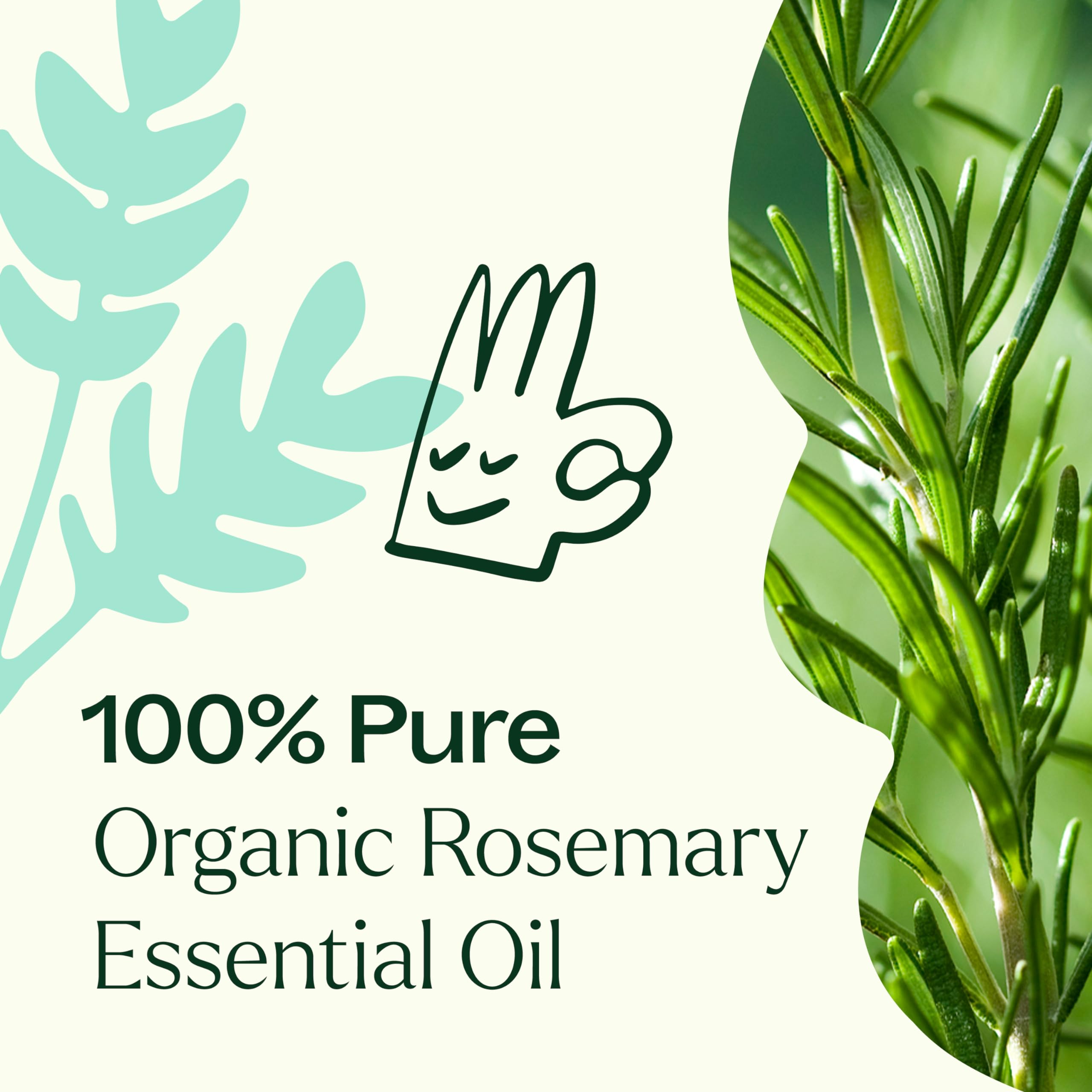 Plant Therapy batch GC-MS reports reinforce oil quality.