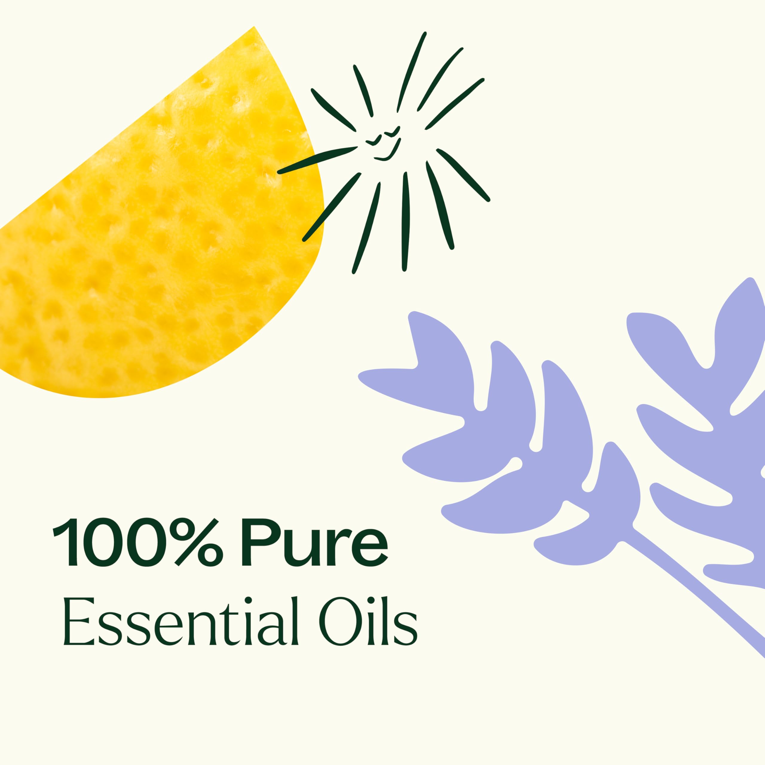 Plant Therapy Sleep Easy bottle close-up shows pre-diluted coconut oil base.