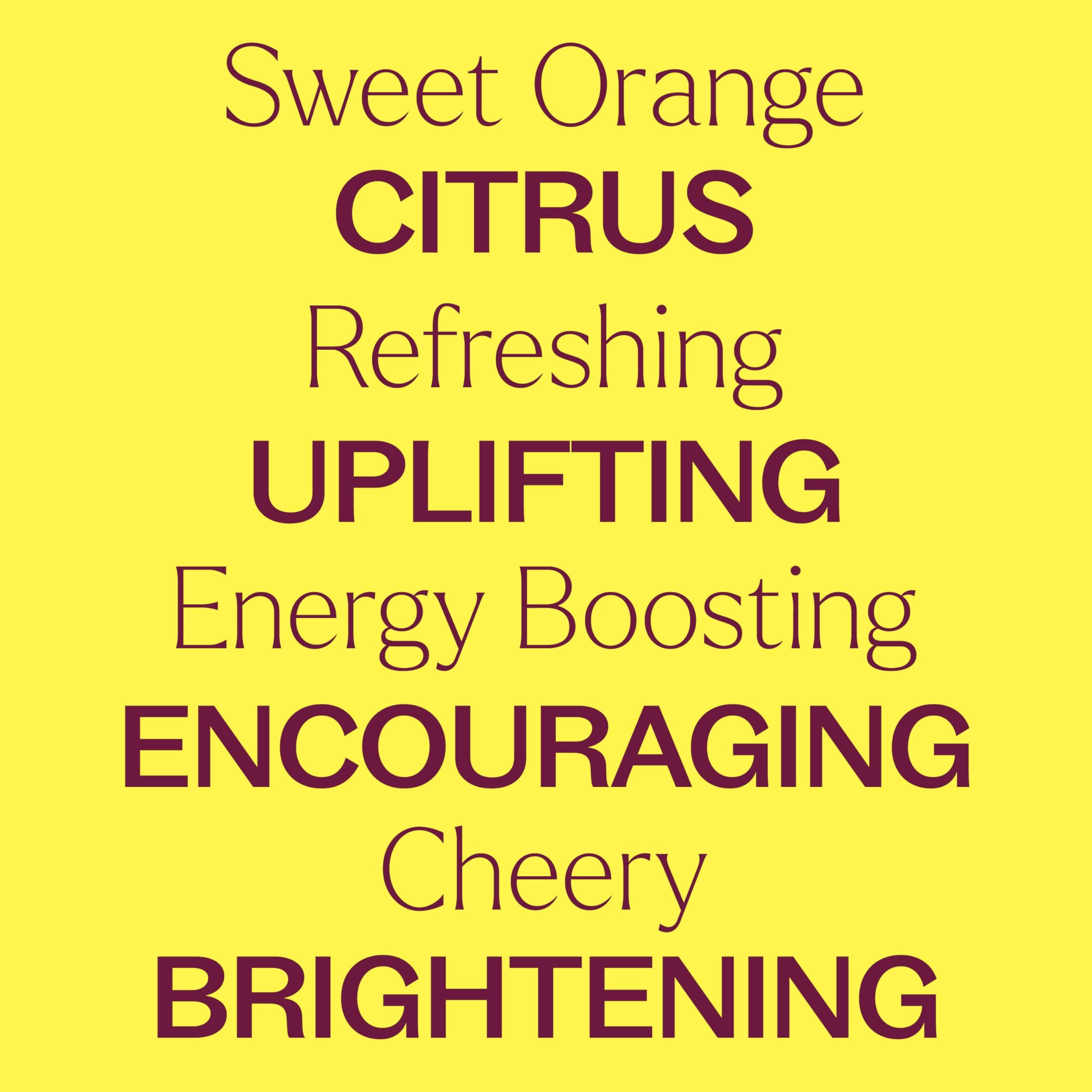 Plant Therapy Sweet Orange oil beside citrus slices suggests refreshing aroma ideas.