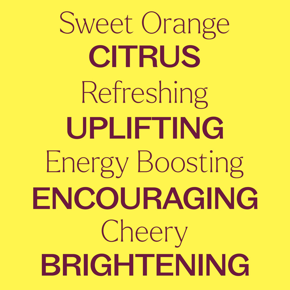Plant Therapy Sweet Orange oil beside citrus slices suggests refreshing aroma ideas.