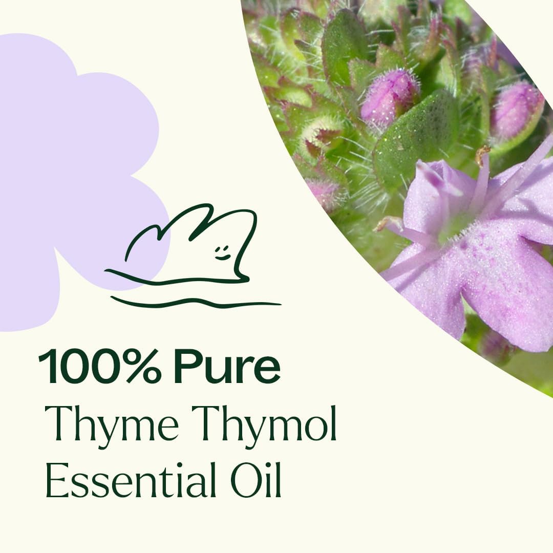 Label on Plant Therapy Thyme Thymol oil highlights purity and dilution guidance.