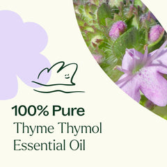 Label on Plant Therapy Thyme Thymol oil highlights purity and dilution guidance.