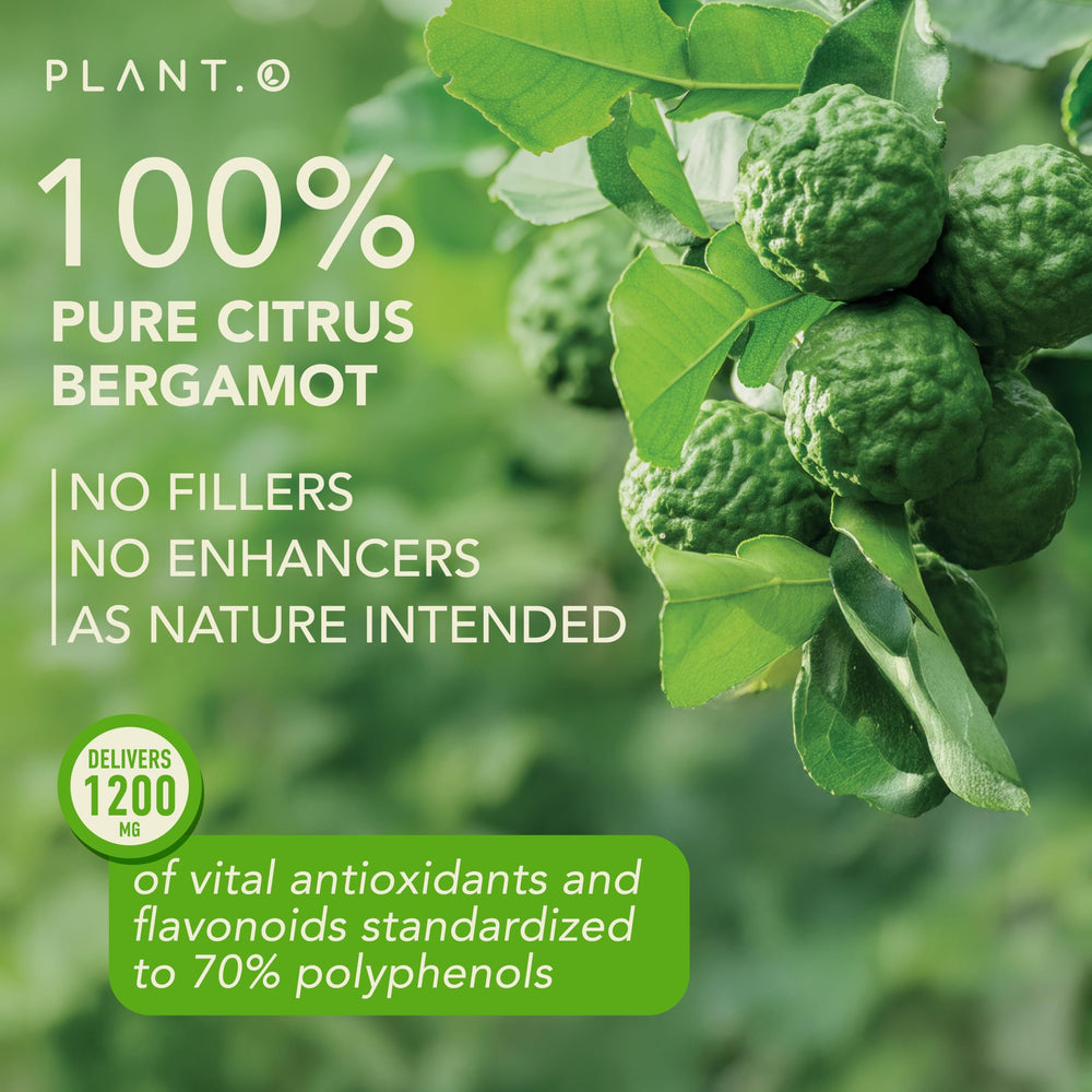 PLANT.O NUTRITION back-of-label ingredients highlight clean formulation