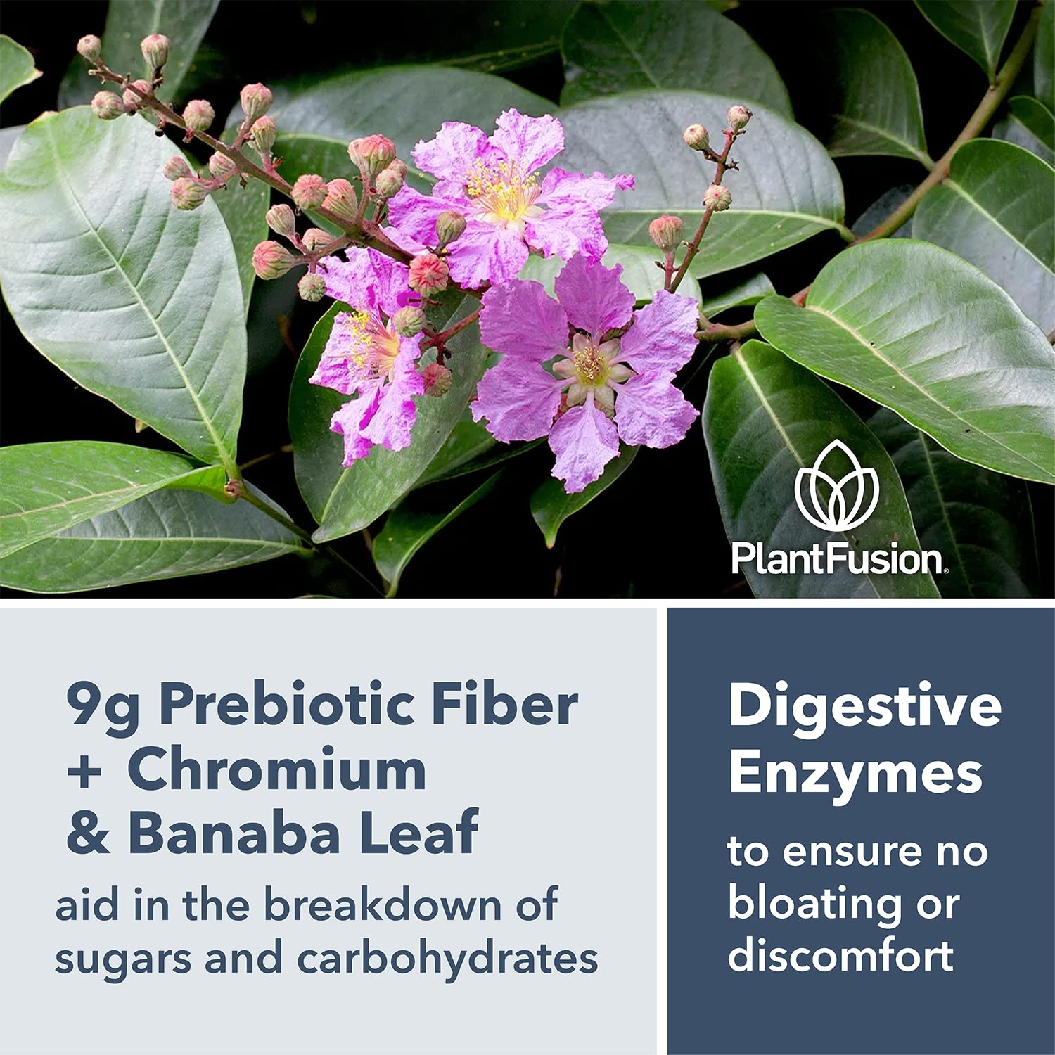 PlantFusion flavor-pure blend shows no artificial flavors or sweeteners