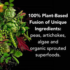 PlantFusion keto-friendly chocolate protein powder with no added sugars