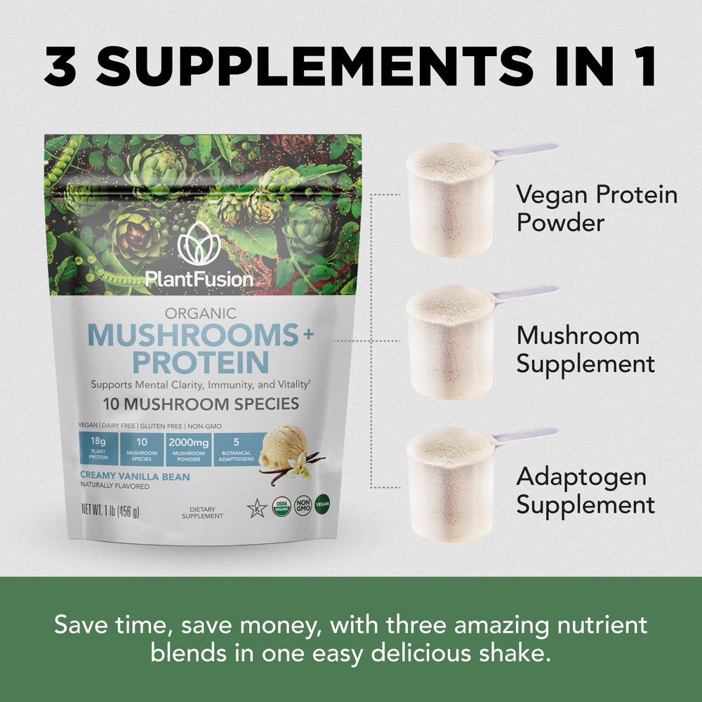 PlantFusion protein in blender smoothie for brain focus and physical recovery.