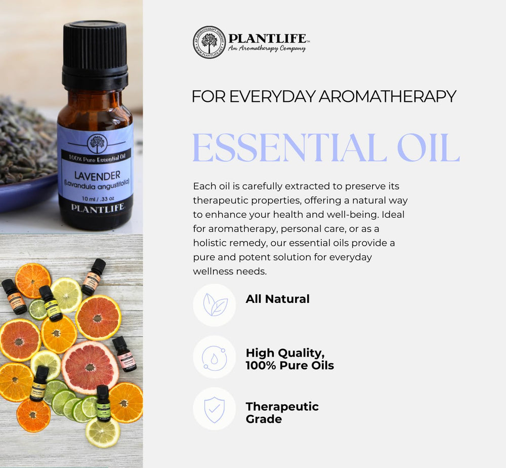 Plantlife Fragonia essential oil diffuser setup for calming ambience.