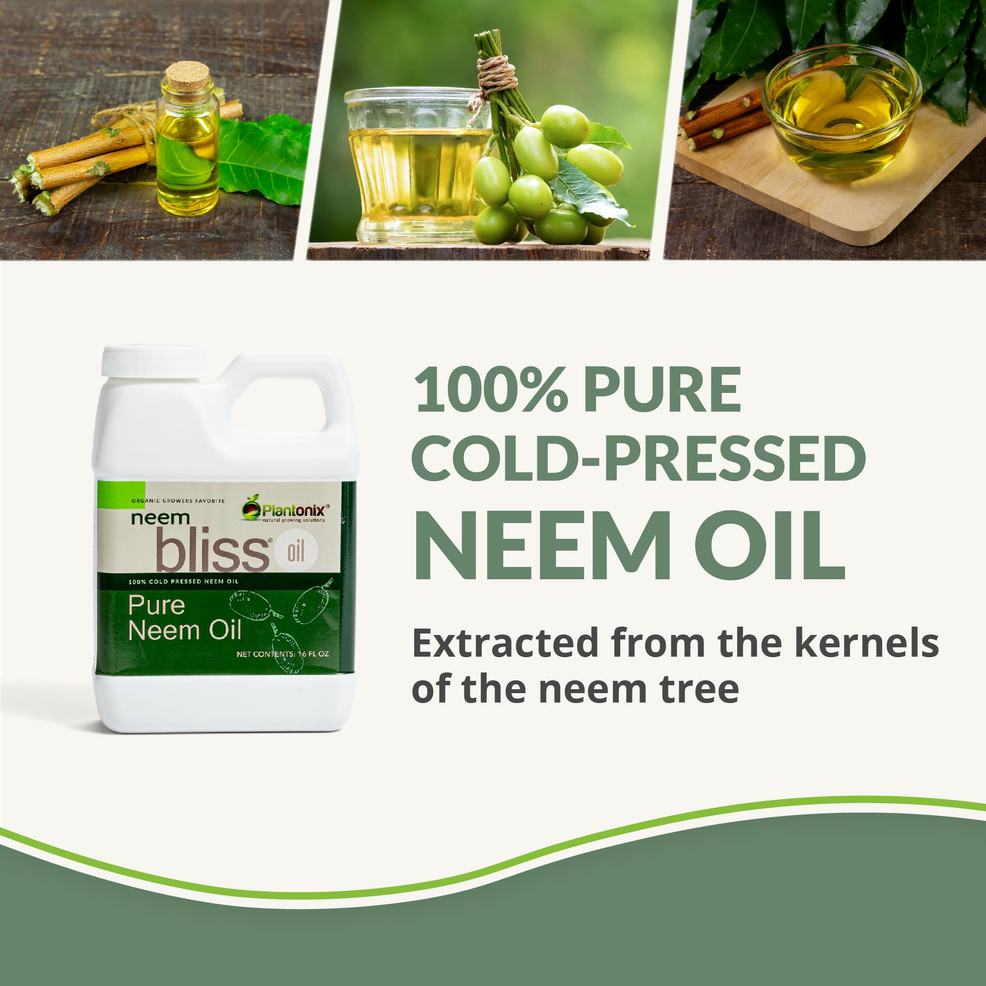 Plantonix Neem Bliss bottle closeup, cold-pressed oil rich in nutrients for everyday use.