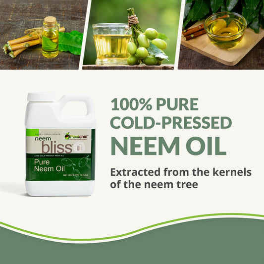 Plantonix Neem Bliss bottle closeup, cold-pressed oil rich in nutrients for everyday use.