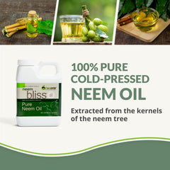 Plantonix Neem Bliss bottle closeup, cold-pressed oil rich in nutrients for everyday use.