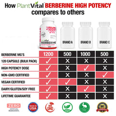 Amber bottle of PlantVital Berberine conveys premium USA-made quality.