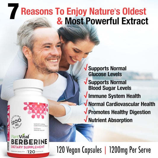 Close-up of PlantVital Berberine capsules highlights vegan, non-GMO formulation.