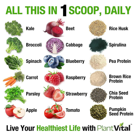 Plantvital greens nutrition blend bottle for daily greens boost