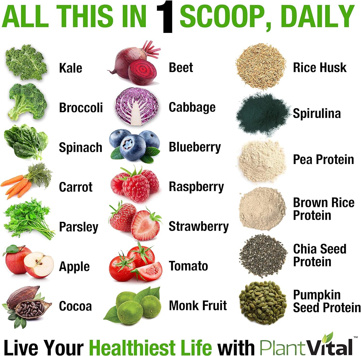 Plantvital vegan protein powder chocolate shake glass with creamy texture