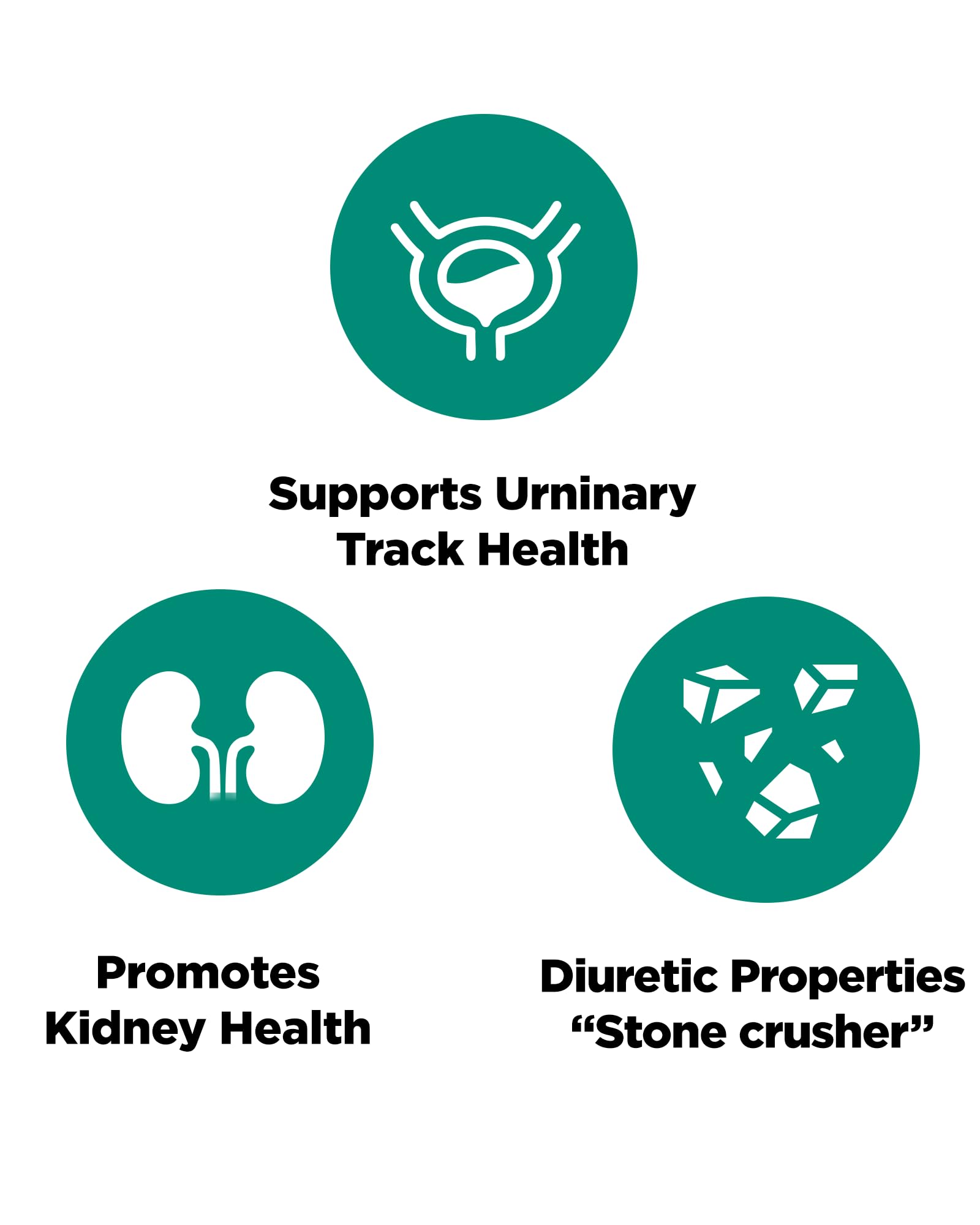 Platinum Naturals packaging with Chanca Piedra for potential kidney support.