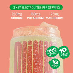 Plink Pomegranate Berry tablets dissolving in water for vibrant flavor.