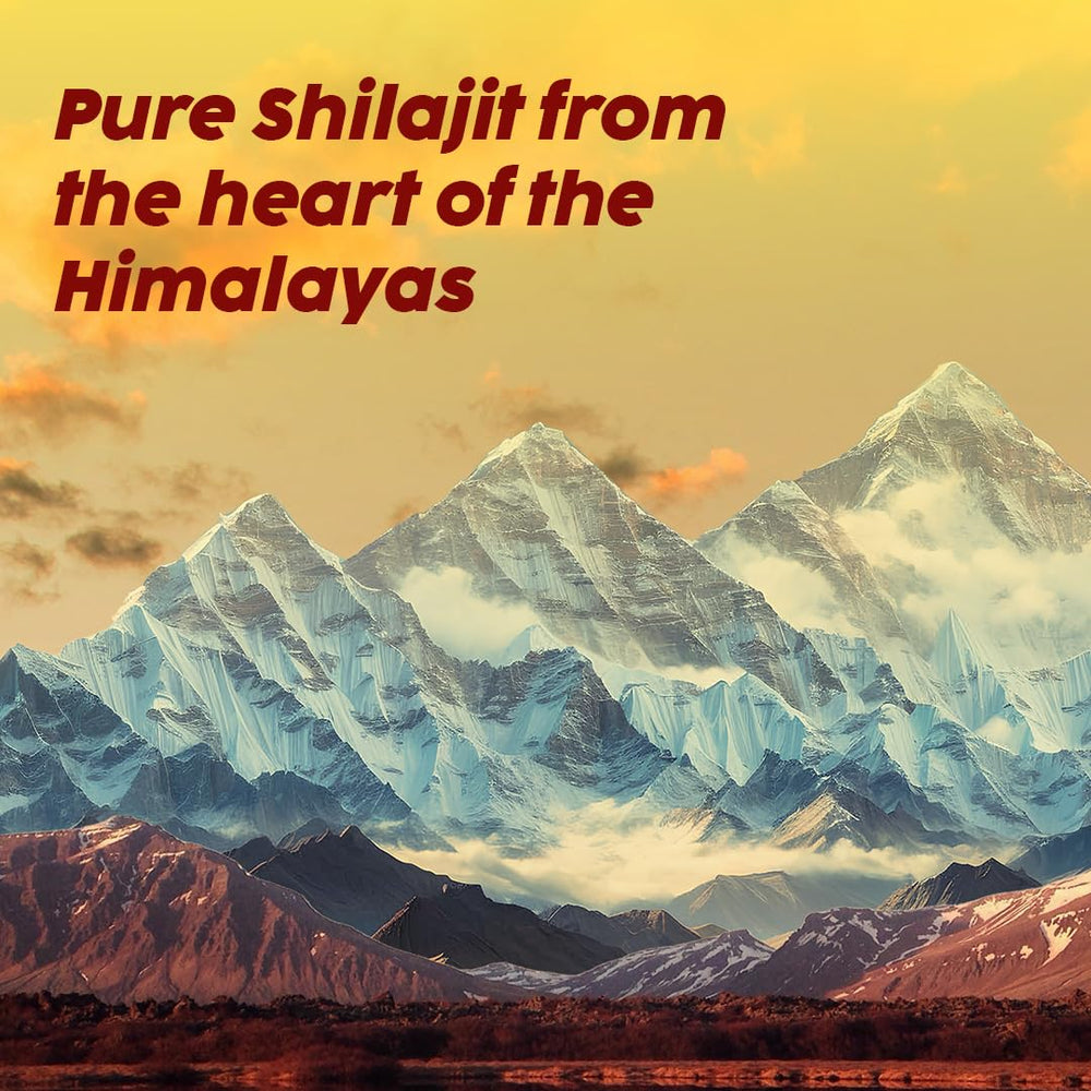 PLIX Shilajit with Safed Musli and Saffron ingredients close-up.