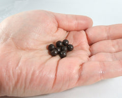 Jin Gu Die Shang Wan herbal blend with natural ingredients for balance