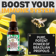 PONLEE propolis dropper bottle close-up for precise dosing.
