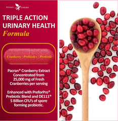 Potent Garden Urinary Support capsules being poured for easy daily cranberry intake