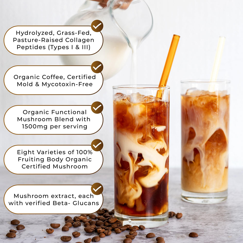 PowderVitamin Chaga, Reishi, Shiitake, Maitake mushrooms array