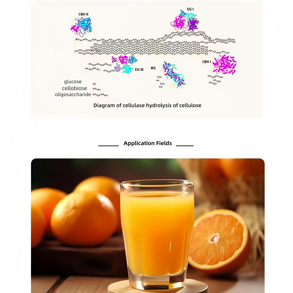 Powdura cellulase powder dissolves in water at 40–50°C for reliable enzymatic activity.