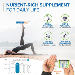 Power By Naturals Sea Moss Plus bladderwrack 500mg component visualized.