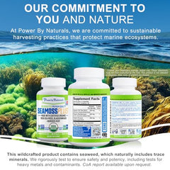 Power By Naturals Sea Moss Plus made in the USA with trusted production.