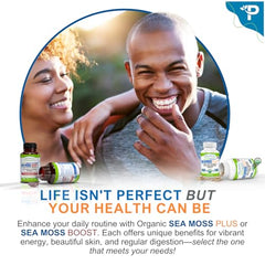 Power By Naturals Sea Moss Plus third-party testing certification image.