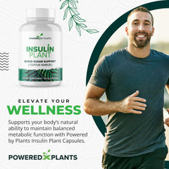 Powered X Plants insulin plant capsules closeup show capsules for quick daily use