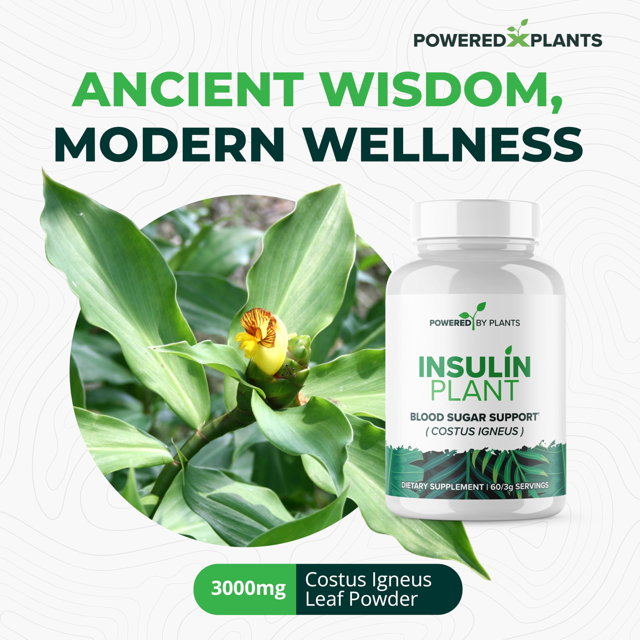 Powered X Plants nutrition label highlights gluten-free, vegan, and non-GMO formulation