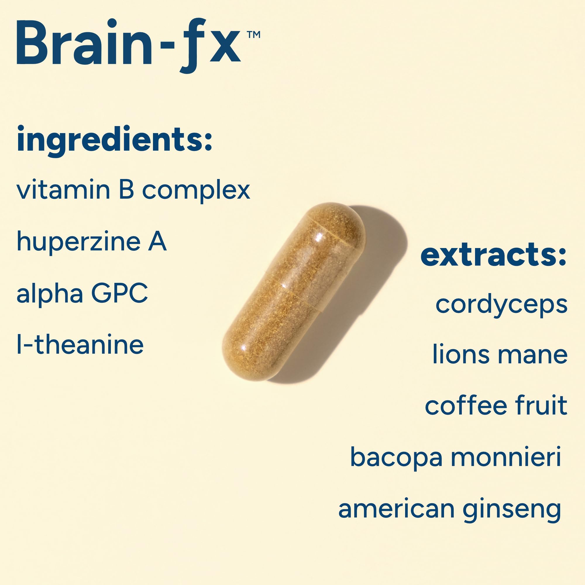 PPO Lab Brain-fx lion mane mushroom illustration signaling brain connectivity support.