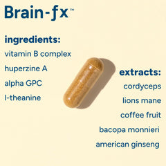 PPO Lab Brain-fx lion mane mushroom illustration signaling brain connectivity support.