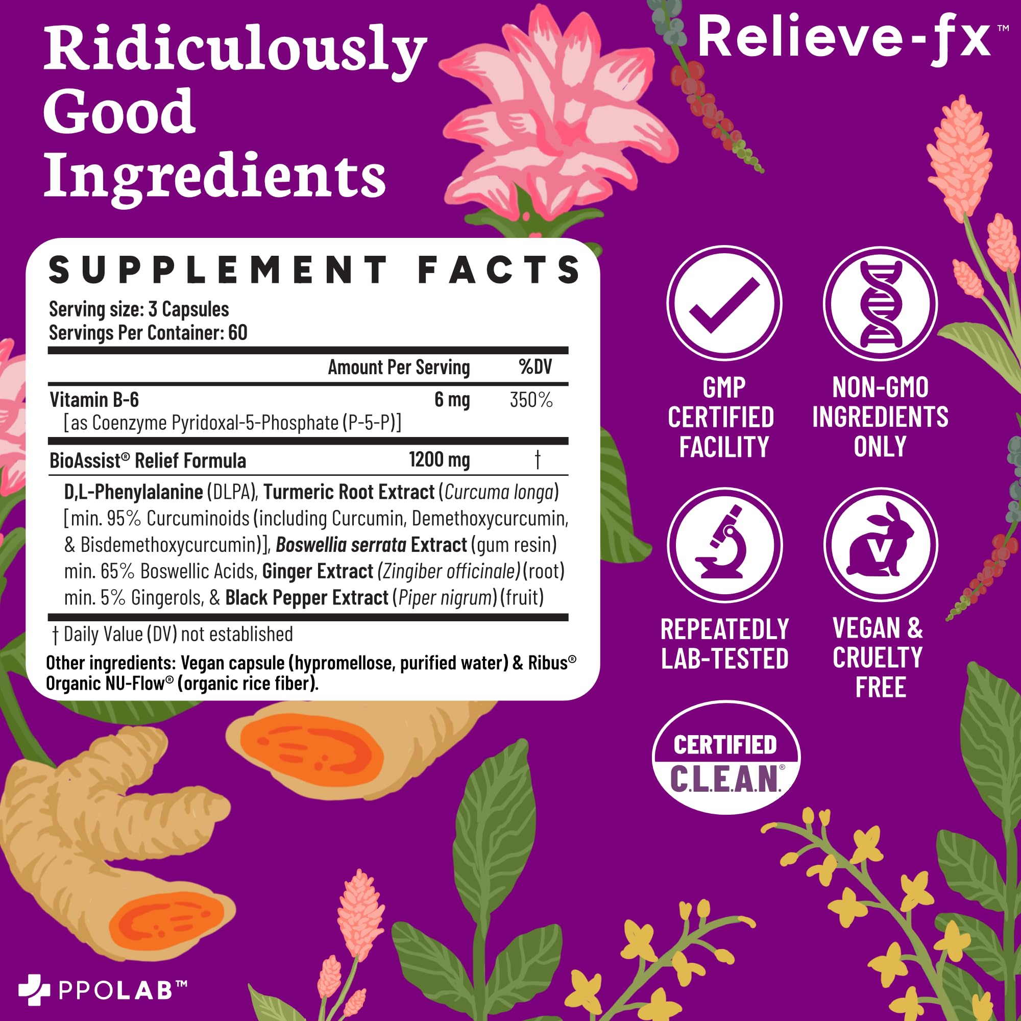PPO Lab Relieve-fx DLPA turmeric-ginger blend emphasizes holistic wellness