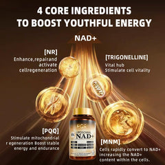 PQR NAD capsules pouring into dish illustrating simple daily dosage.