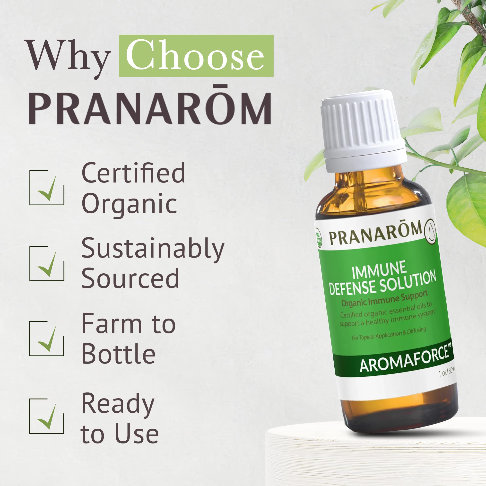 Pranarom Aromaforce Immune Defense diffuser setup in a cozy living space