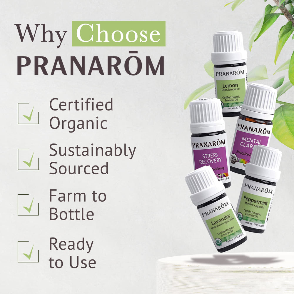 Pranarom starter kit in use with diffuser creating a calm, clean-air ambiance.