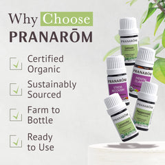 Pranarom starter kit in use with diffuser creating a calm, clean-air ambiance.