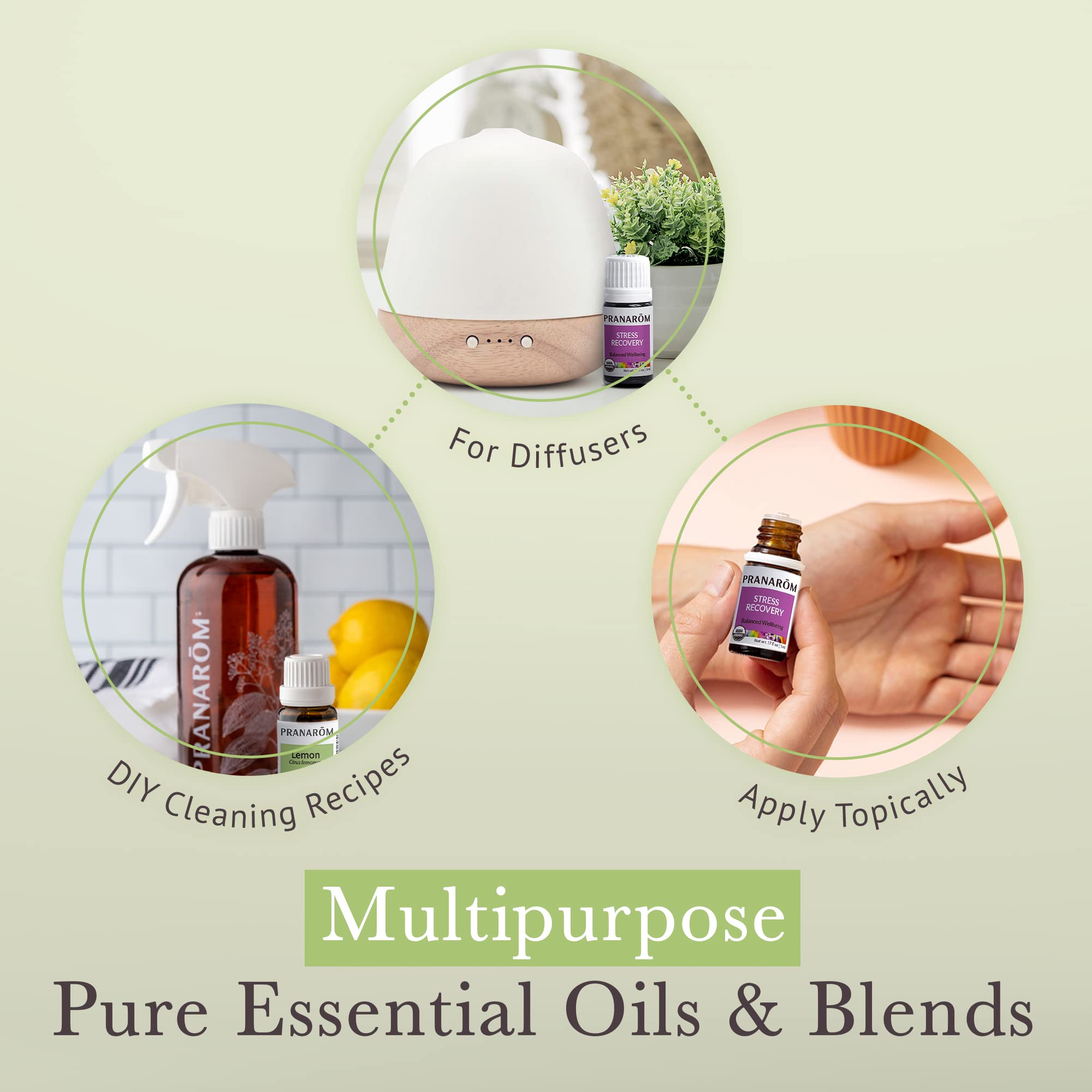 Pranarom grapefruit 5ml bottle for bright aroma.