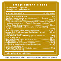 Premier Daily One vegetarian capsules on display for plant-based daily nutrition