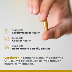 CardioVen CoQ10 formula close-up showing bioavailable trans form with phytonutrient blend